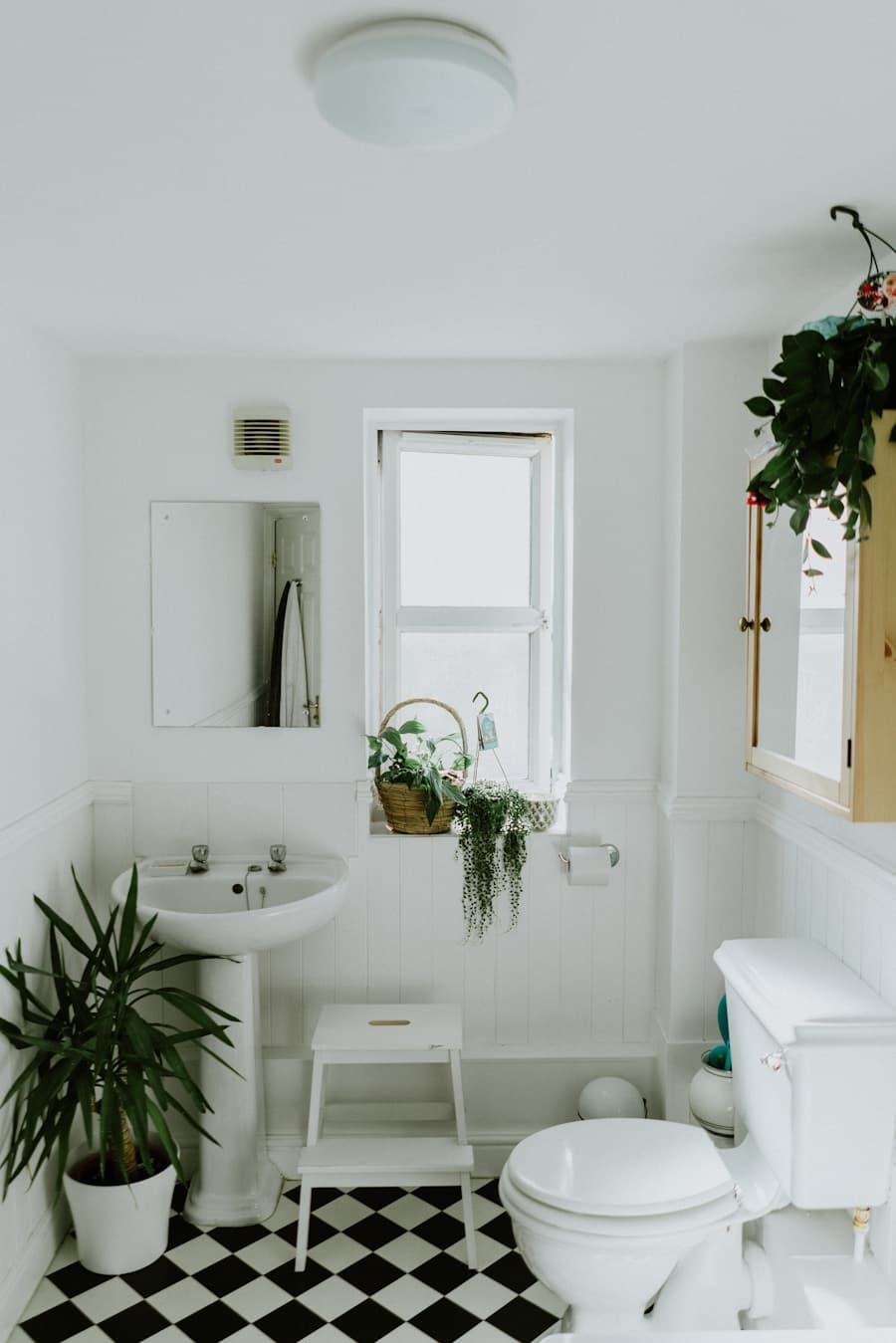 Spotless modern bathroom with natural light